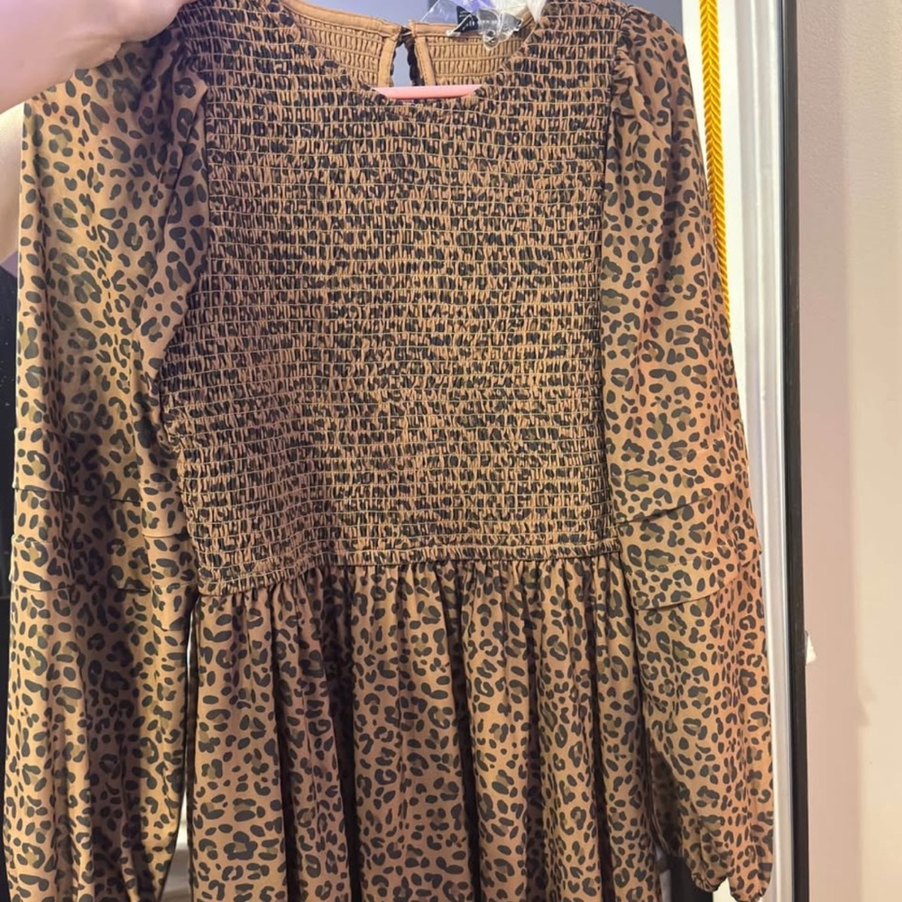 American Eagle Outfitters Leopard Print Dress